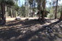 Yosemite Creek Campground 052