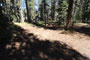 Yosemite Creek Campground 066