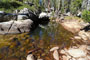 Yosemite Creek Campground Creek Scenic