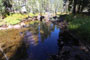 Yosemite Creek Campground Creek View