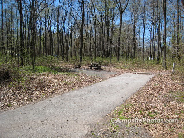 French Creek State Park B047