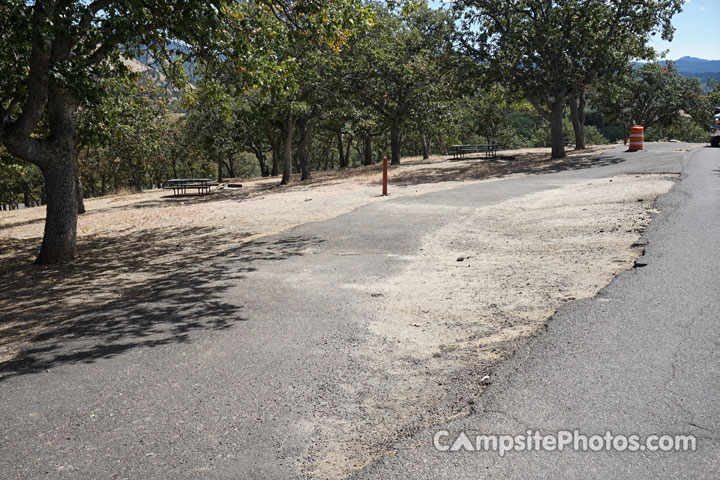 Emigrant Lake Oak Slope 022