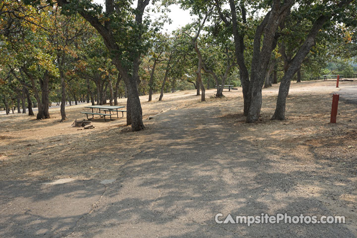 Emigrant Lake Oak Slope 024