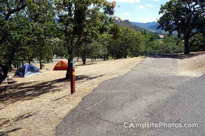 Emigrant Lake Oak Slope 039