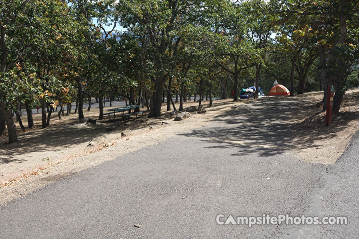 Emigrant Lake Oak Slope 040