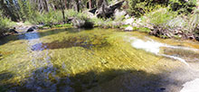 Upper Stony Creek