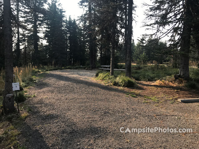 Mount Spokane State Park 001