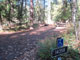 Yaak River Campground 000-ADA