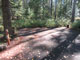 Yaak River Campground 005