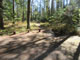 Yaak River Campground 028