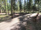 Yaak River Campground 033