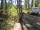 Yaak River Campground 043