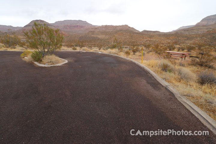 Virgin River Canyon Recreation Area 034