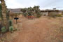 Virgin River Canyon Recreation Area 008 Camp Area