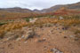 Virgin River Canyon Recreation Area Campground Lower Loop