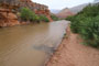 Virgin River Canyon Recreation Area River Scenic