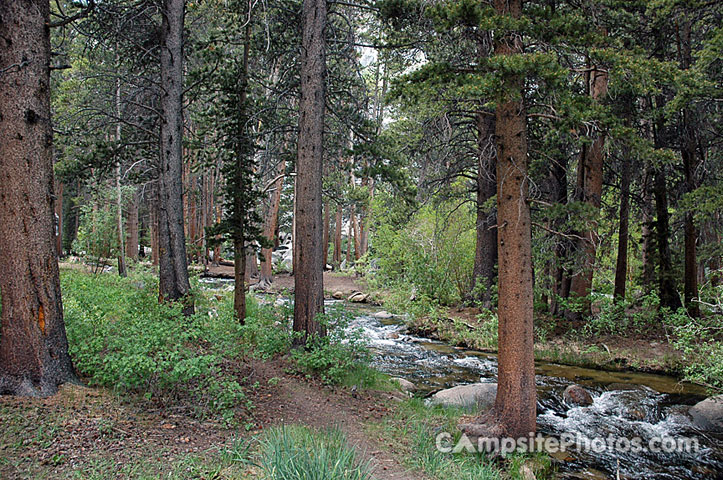 Big Meadow Creek View