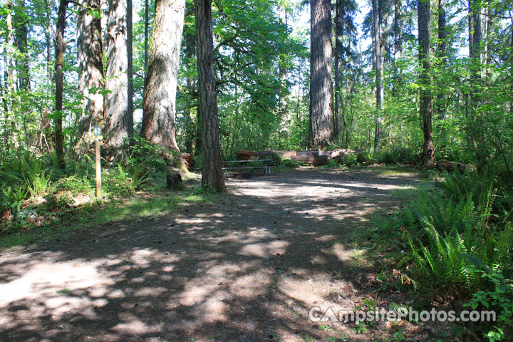 Schafer State Park 062