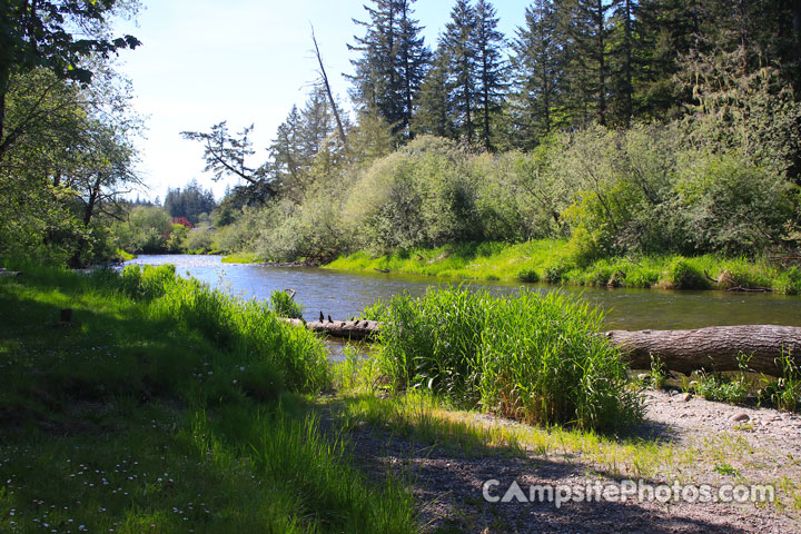 Schafer State Park Satsop River