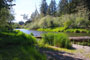 Schafer State Park Satsop River