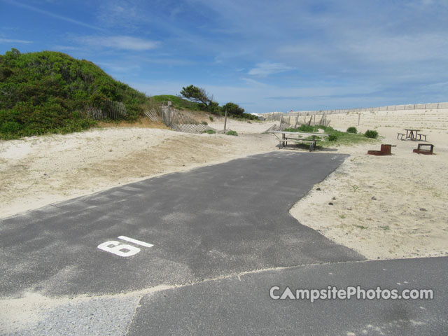 Assateague State Park 061