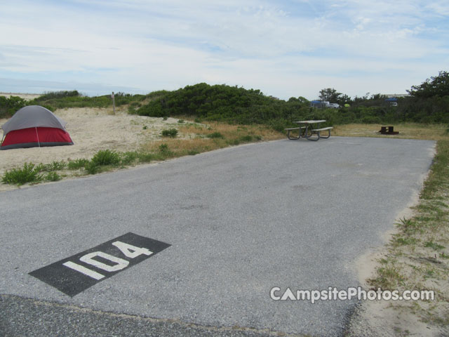 Assateague State Park 104