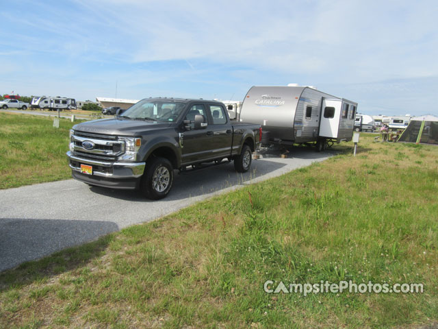 Assateague State Park 192