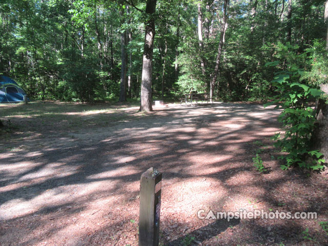 Martinak State Park 023