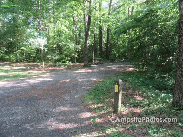 Martinak State Park 034