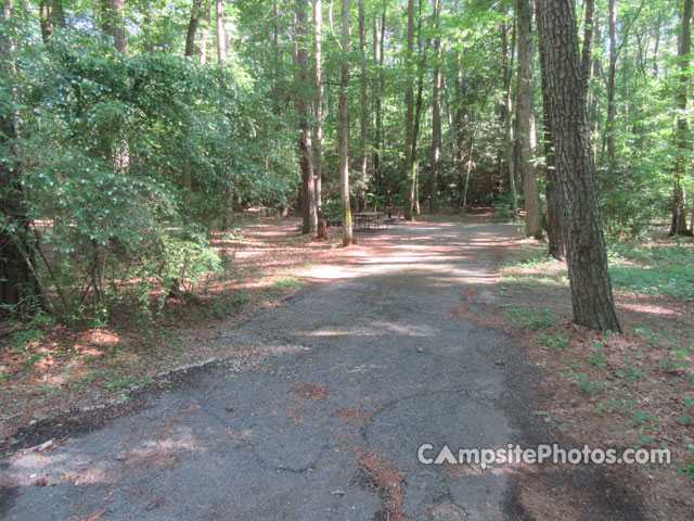 Martinak State Park 042