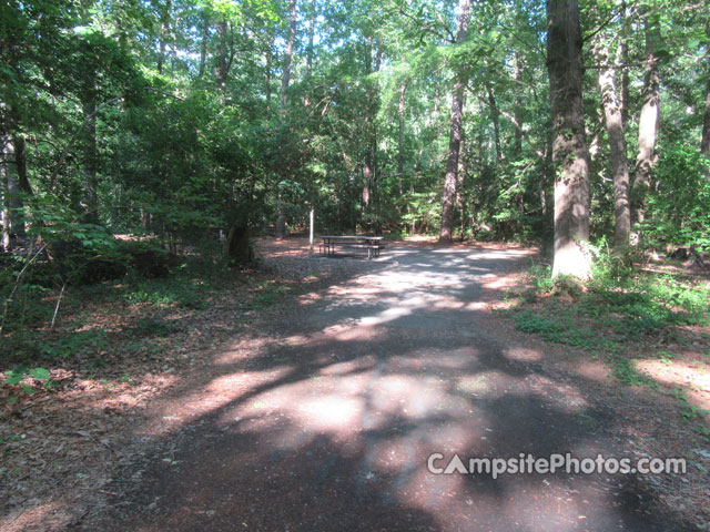 Martinak State Park 050