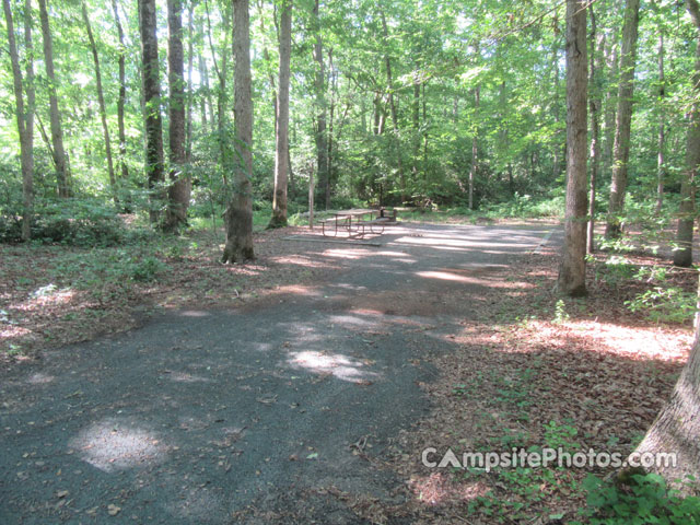 Martinak State Park 056