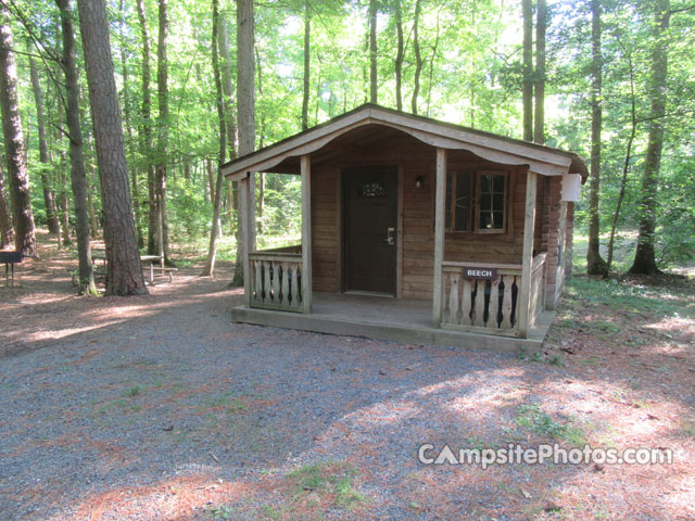 Martinak State Park Cabin 002