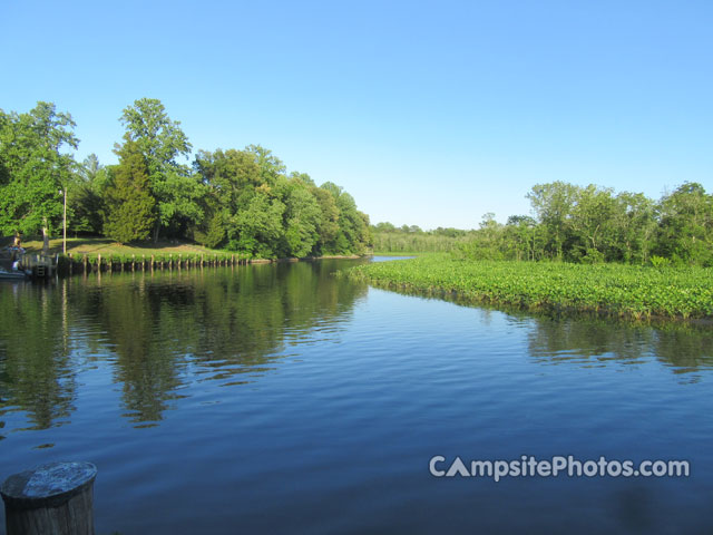 Martinak State Park View