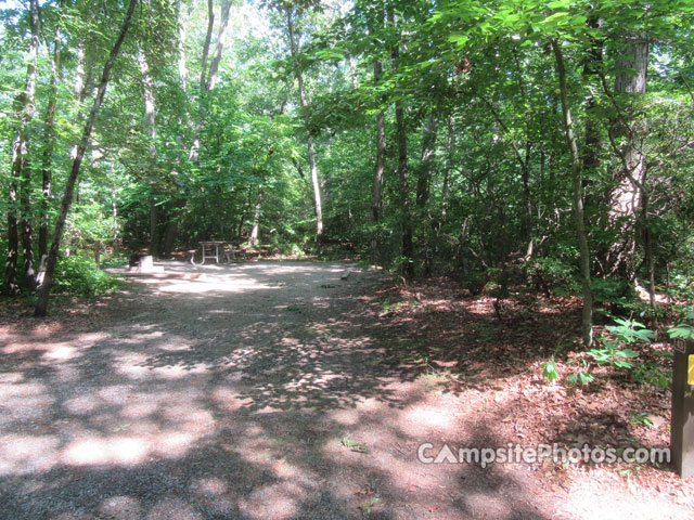 Tuckahoe State Park 043