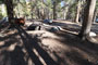 Lake Mary Campground 019