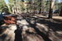 Lake Mary Campground 020