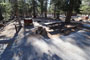 Lake Mary Campground 026