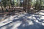 Lake Mary Campground 041