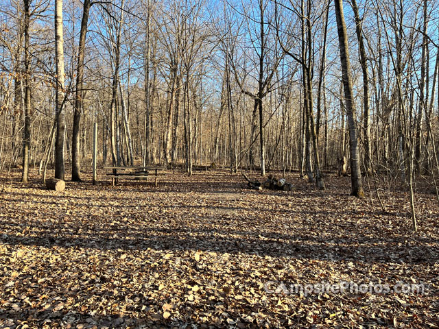 Charles A. Lindbergh State Park 024