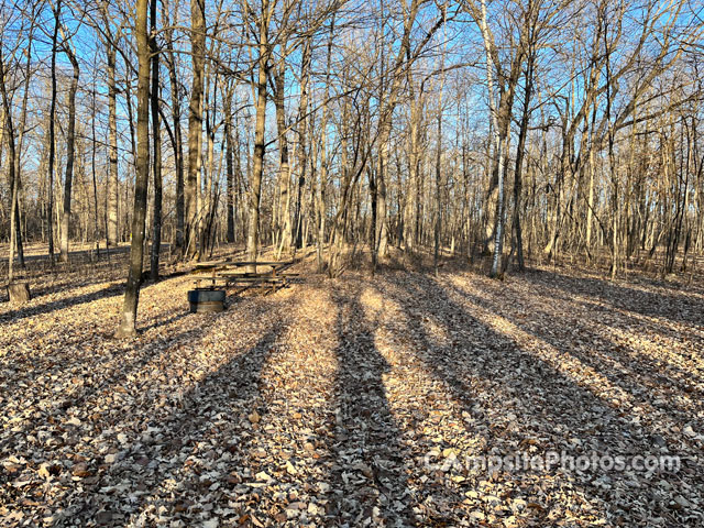 Charles A. Lindbergh State Park 028