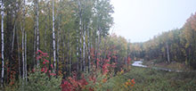 Lake Vermilion-Soudan Underground Mine State Park