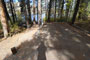 Gull Lake Campground 007