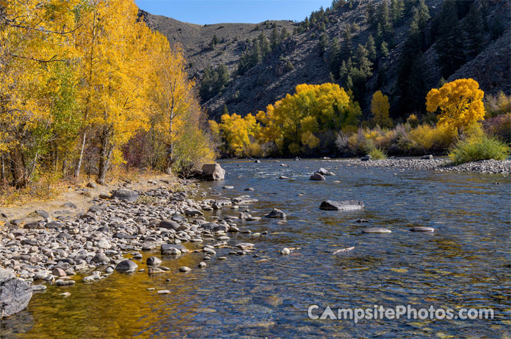 Almont Taylor River