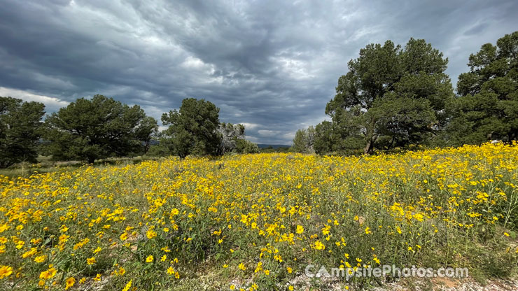 El Morro National Monument Scenic