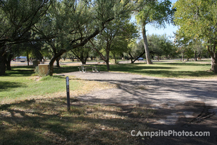 Rio Grande Village Campground 090