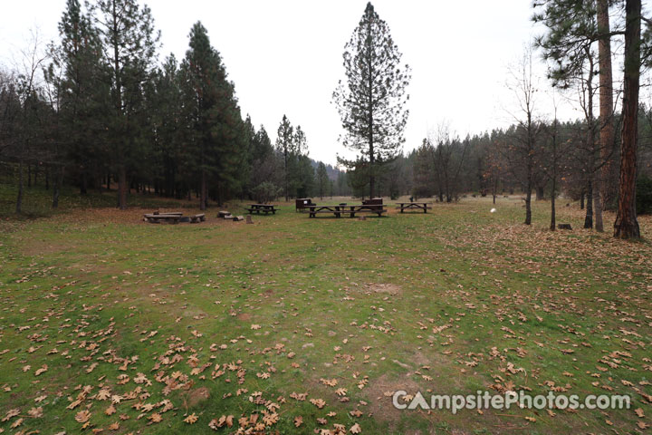 The Pines Group Camping Area View