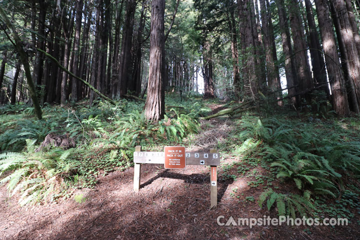 Pomo Canyon Campground Forest