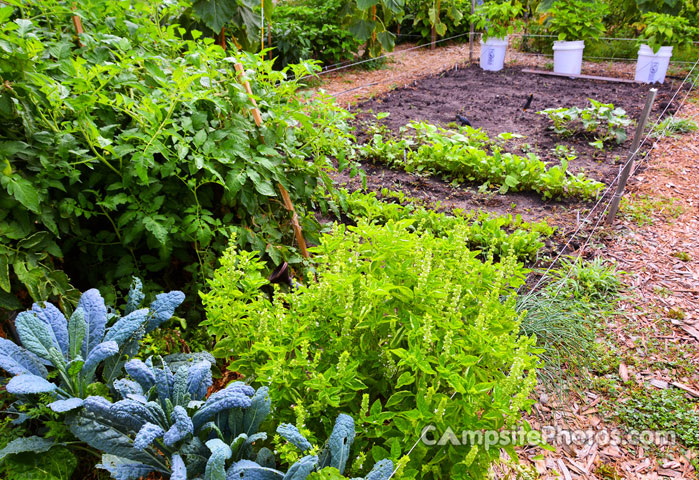 Prairie Island Community Food Garden