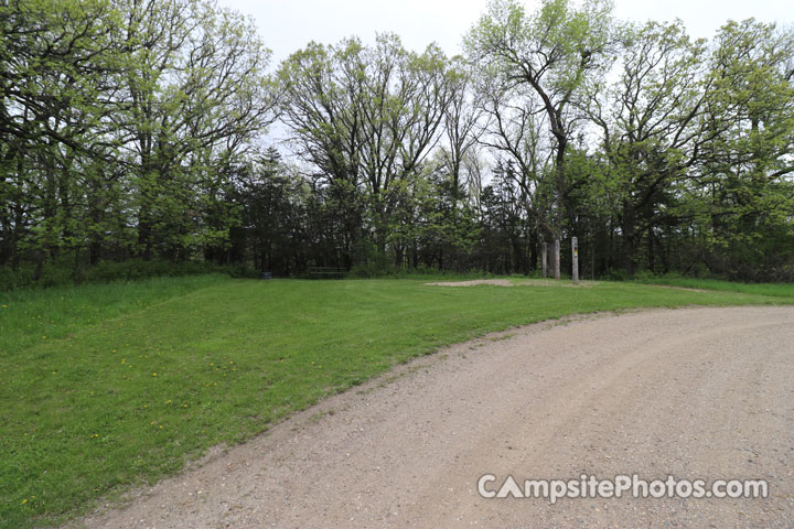 Sibley State Park Horse 003